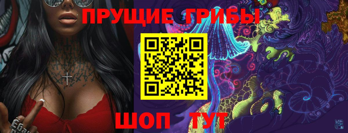 Иваново  Галлюциногенные грибы Psilocybine cubensis  Вход с VPN 